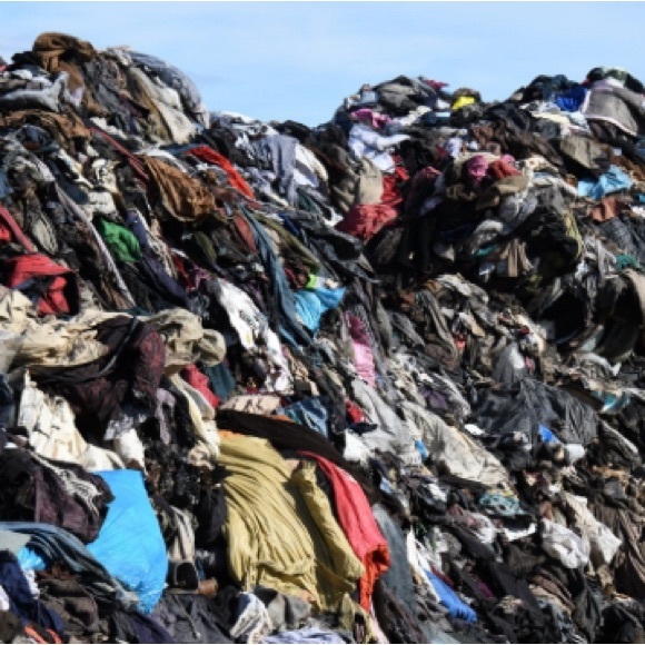 Meet your Posher, Stephanie - Picture 6 of 9